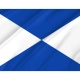 Pontevedra 1905-1933 Flag for Indoor & Outdoor Use - Imagine 2