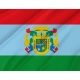 Alguazas Flag for Indoor & Outdoor Use - Imagine 2
