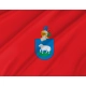 Ansoáin Red Flag for Indoor & Outdoor Use - Imagine 2