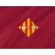 Alzira Flag for Indoor & Outdoor Use - Imagine 2