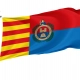 Elx Flag for Indoor & Outdoor Use - Imagine 1