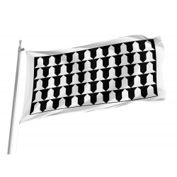 Aigües Flag for Indoor & Outdoor Use