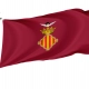 Cullera Flag for Indoor & Outdoor Use - Imagine 1