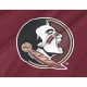 Florida State Seminoles Flag for Indoor & Outdoor Use - Imagine 2