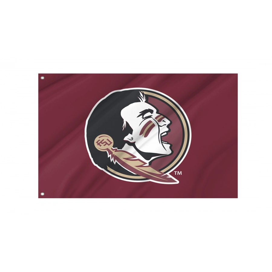Flag of Florida State Seminoles, Unique Design Print, Flags for Indoor & Outdoor Use
