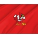 Louisville Cardinals Flag for Indoor & Outdoor Use - Imagine 2