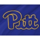 Pittsburgh Panthers Flag for Indoor & Outdoor Use - Imagine 2
