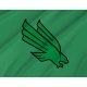 North Texas Mean Green Flag for Indoor & Outdoor Use - Imagine 2