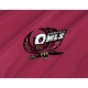 Temple Owls Flag for Indoor & Outdoor Use - Imagine 2