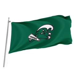 Tulane Green Wave Flag for Indoor & Outdoor Use