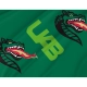 UAB Blazers Flag for Indoor & Outdoor Use - Imagine 2