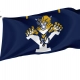 BYU Cougars Flag for Indoor & Outdoor Use - Imagine 1