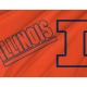 Illinois Fighting Illini Flag for Indoor & Outdoor Use - Imagine 2