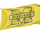Michigan Wolverines Flag for Indoor & Outdoor Use - Imagine 1