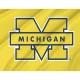 Michigan Wolverines Flag for Indoor & Outdoor Use - Imagine 2