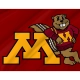 Minnesota Golden Gophers Flag for Indoor & Outdoor Use - Imagine 2