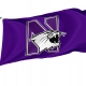 Northwestern Wildcats Flag for Indoor & Outdoor Use - Imagine 1