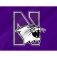 Northwestern Wildcats Flag for Indoor & Outdoor Use - Imagine 2