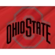Ohio State Buckeyes Flag for Indoor & Outdoor Use - Imagine 2