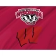 Wisconsin Badgers Flag for Indoor & Outdoor Use - Imagine 2