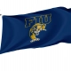 Florida International Panthers Flag for Indoor & Outdoor Use - Imagine 1