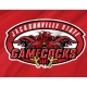 Jacksonville State Gamecocks Flag for Indoor & Outdoor Use - Imagine 2