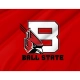 Ball State Cardinals Flag for Indoor & Outdoor Use - Imagine 2