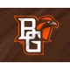 Bowling Green Falcons Flag for Indoor & Outdoor Use - Imagine 2