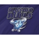 Buffalo Bulls Flag for Indoor & Outdoor Use - Imagine 2