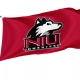 Northern Illinois Huskies Flag for Indoor & Outdoor Use - Imagine 1