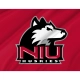 Northern Illinois Huskies Flag for Indoor & Outdoor Use - Imagine 2