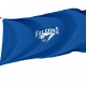 Air Force Falcons Flag for Indoor & Outdoor Use - Imagine 1