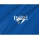 Air Force Falcons Flag for Indoor & Outdoor Use - Imagine 2