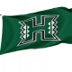 Hawai'i Rainbow Warriors Flag for Indoor & Outdoor Use - Imagine 1