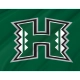 Hawai'i Rainbow Warriors Flag for Indoor & Outdoor Use - Imagine 2