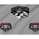 New Mexico Lobos Flag for Indoor & Outdoor Use - Imagine 2