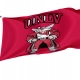 UNLV Rebels Flag for Indoor & Outdoor Use - Imagine 1