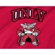 UNLV Rebels Flag for Indoor & Outdoor Use - Imagine 2