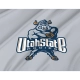 Utah State Aggies Flag for Indoor & Outdoor Use - Imagine 2