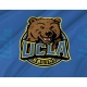 UCLA Bruins Flag for Indoor & Outdoor Use - Imagine 2