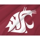 Washington State Cougars Flag for Indoor & Outdoor Use - Imagine 2