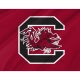 South Carolina Gamecocks Flag for Indoor & Outdoor Use - Imagine 2