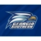 Georgia Southern Eagles Flag for Indoor & Outdoor Use - Imagine 2