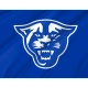 Georgia State Panthers Flag for Indoor & Outdoor Use - Imagine 2