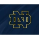 Notre Dame Fighting Irish Flag for Indoor & Outdoor Use - Imagine 2