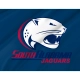 South Alabama Jaguars Flag for Indoor & Outdoor Use - Imagine 1