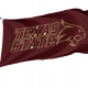 Texas State Bobcats Flag for Indoor & Outdoor Use - Imagine 1