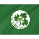 Ireland Cricket Team Flag for Indoor & Outdoor Use - Imagine 2
