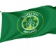Ireland Quidditch Team Flag for Indoor & Outdoor Use - Imagine 1
