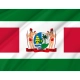 President of Suriname Flag for Indoor & Outdoor Use - Imagine 2